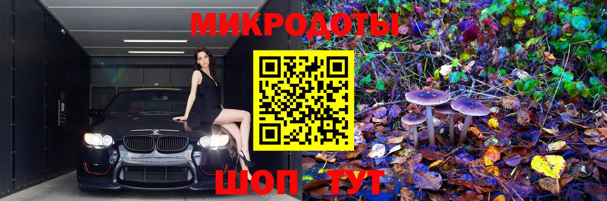 Бузулук  Галлюциногенные грибы MAGIC MUSHROOMS  что такое   Галлюциногенные грибы мухоморы  Вход с VPN 