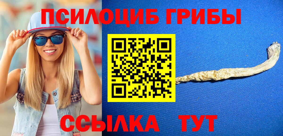 Псилоцибиновые грибы мухоморы Бузулук